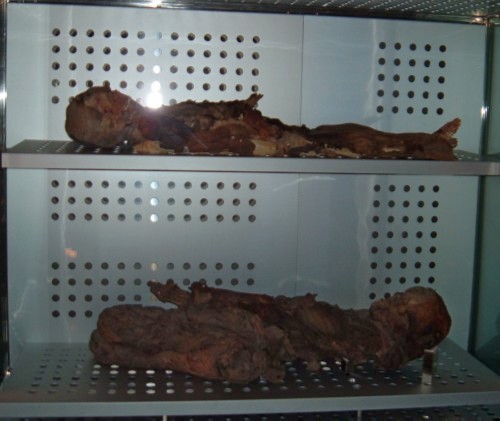 Guanche mummies