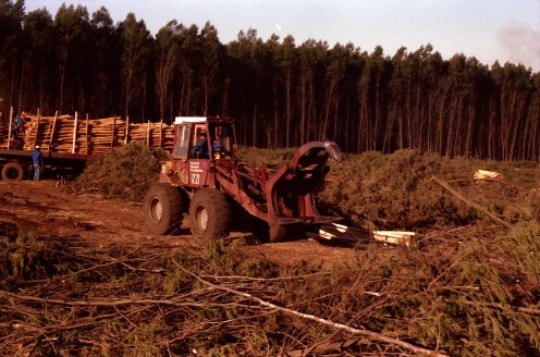Forestry operations in kwaZulu-Natal. Photo Tony McGregor