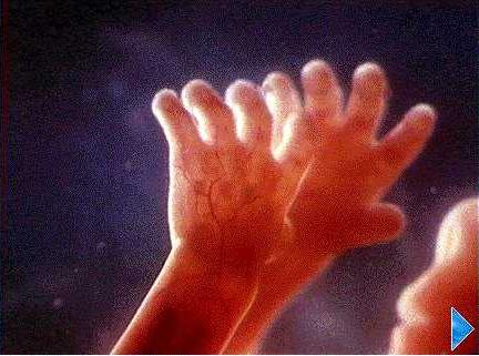 Your baby is calling for help - No mamma don't drink or smoke or I will get hurt.