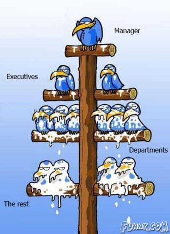 ladder of life