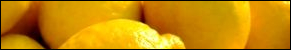 Lemon Experiments for Kids 