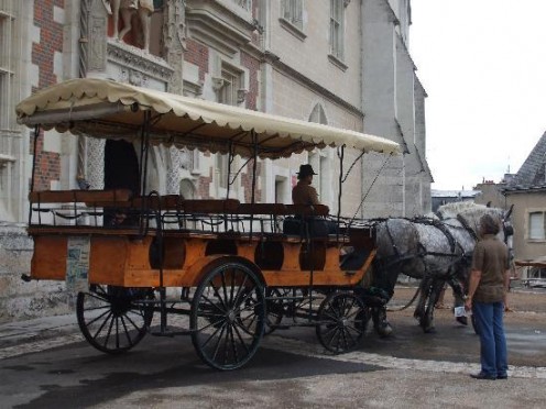 Horse and carriage