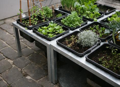 Container farming is highly adaptable to many circumstances. It is ideal for rooftop gardening on existing rooftops.