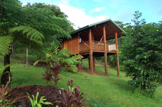 Coral Sea Views Bed and Breakfast