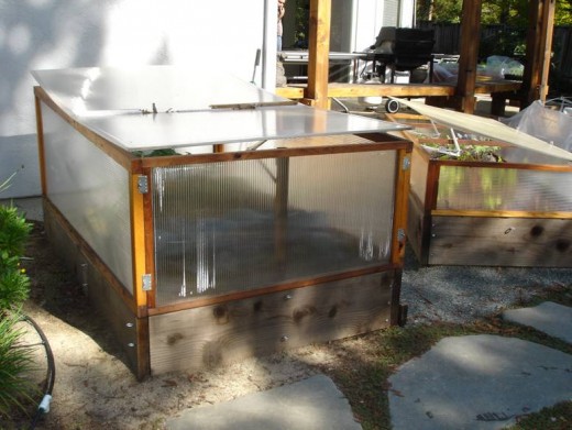 My mini-greenhouse prevents wind damage in spring and fall.