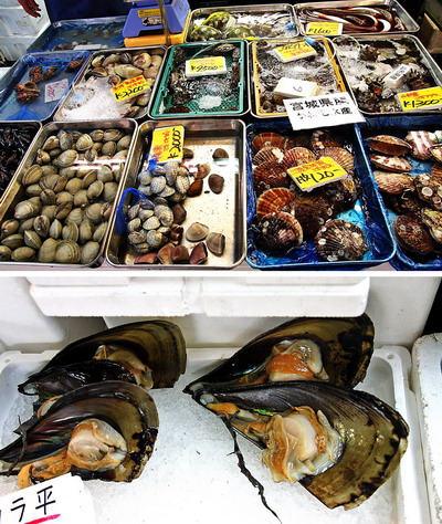 Tsukiji Fish Market, Tokyo Japan