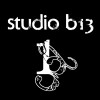 studiob13 profile image
