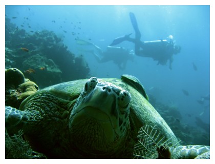 Divers call it paradise at Perhentian