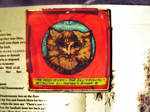 Cats      not for sale