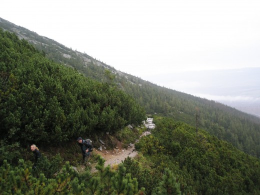 Transformation is about change and altering. Transformation is about change and altering.