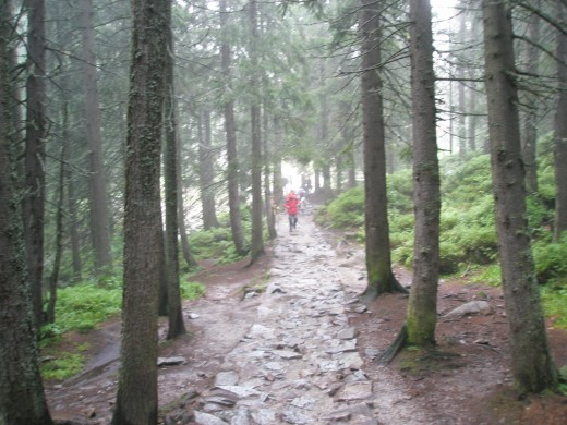 Take the 'High Road' to discover yourself. Take the 'High Road' to discover yourself.