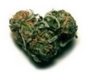 #3 most abused drug is marijuana, cannabis, pot, grass
