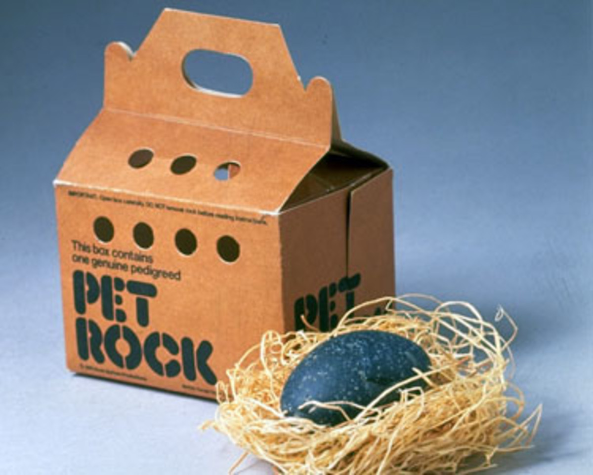 This box contains one genuine pedigreed pet rock