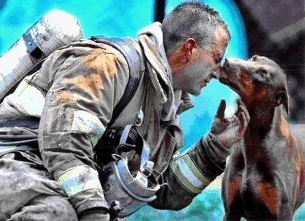 A lovely picture, as it is. Petting even during times of literal calamity.