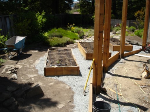 The raised beds filled with their "growing media".