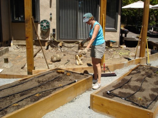 The gardener at work.