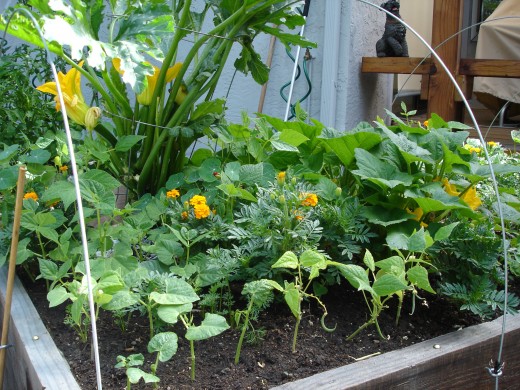 The harvest tells you it is worthwhile.