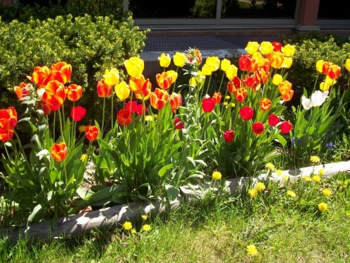 Stop and smell the flowers