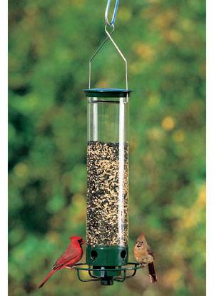 Squirrel proof bird feeder.