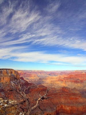 Buy Arizona Online - The Grand Canyon
