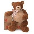 Buy Adorable Teddy Bears Online!