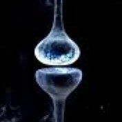 ConsciousObserver profile image
