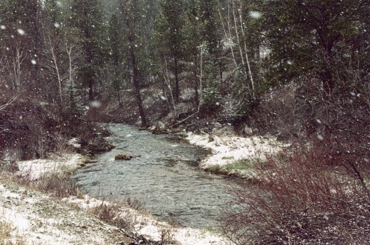 IT WAS SNOWING BESIDE SPEARFISH CREEK