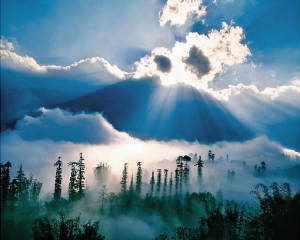 Inspirational picture from tripod.com