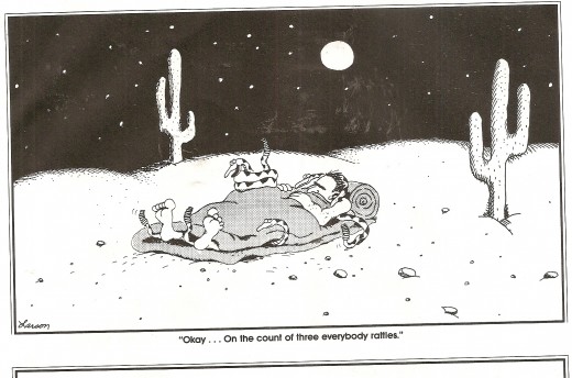 Courtesy of The Far Side by Gary Larson.