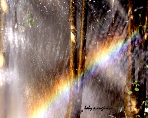 Rainbow from mist