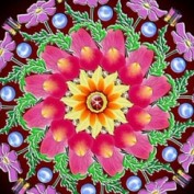 GypsyDream profile image