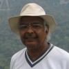 Anil Lyall profile image
