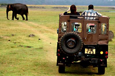 Wild Life safaris are another popular attraction among tourists