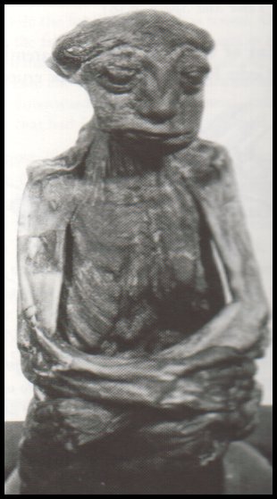 Casper Wyoming Mummy