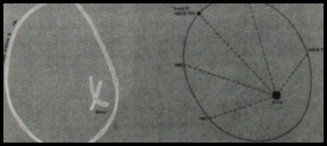 Sirius Star System Diagram
