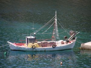 Greeks eat lots of fresh fish in their Mediterranean diet.
