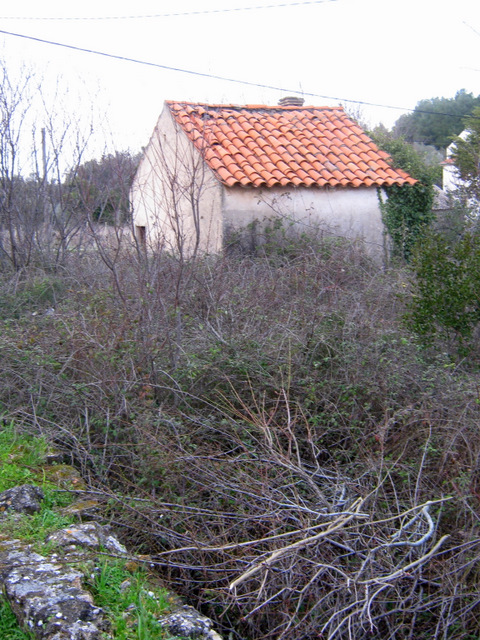 Wiew on small garden-house through the bushes of wild blackberries