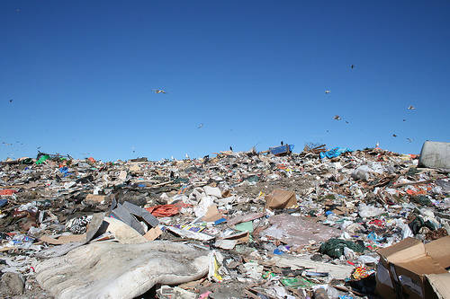 Think or all that we throw away that can be recycled and act as a resource.