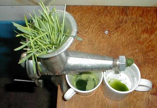 This is a file from the Wikimedia Commons. Wheatgrass Juicer