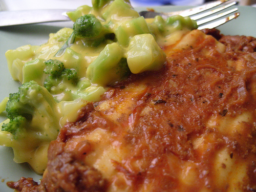 More Nutrisystem foods - lasagna! Looks delicious Photo credit: misterjt @flickr