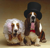 A happy bride and groom who used their credit cards!