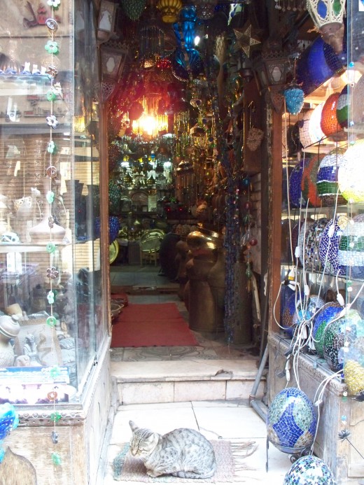 Magical hookah shop in Cairo