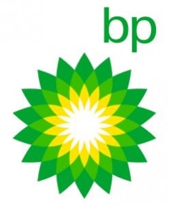 BP's Mismanagement Endangers More Than the Environment