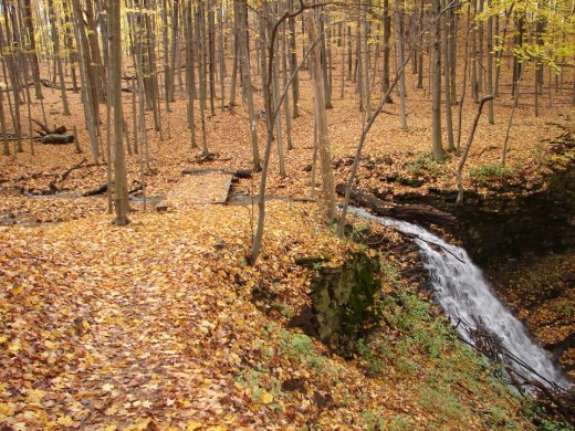 The Bruce Trail along The Niagara Escarpment as it passes Canterbury Falls.
