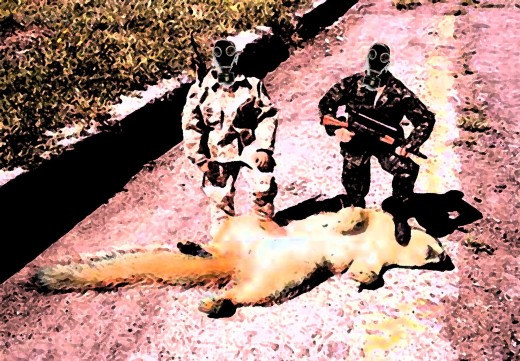What future holds? Nobody knows maybe after you survive 2012, you will hunt giant mutated squirrels!
