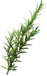 Rosemary is not only a delicious addition to your meats, but it can help reduce potential carcinogens when grilling.