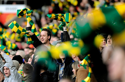 Green and gold anti glazer scarves
