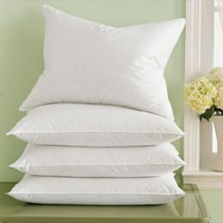 Pacific Coast Pillows