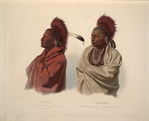 public domain--a Sauk and Fox indian