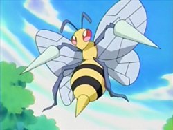 Beedrill is the final evolution of Weedle.